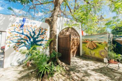 Alle Cancun Hostel Garden Image